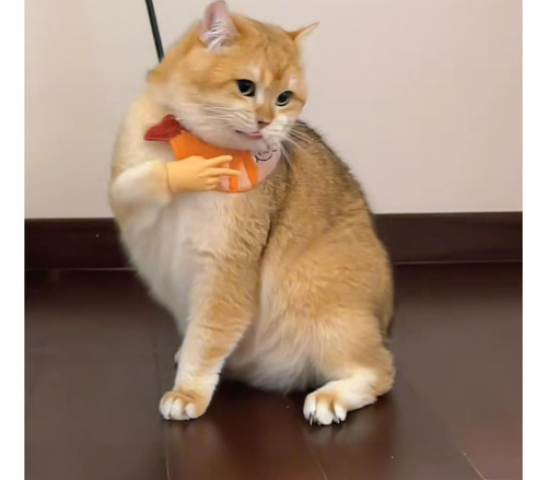 Ch Guantes Para Gatos, Divertidos Y Peculiares Mini Yemas