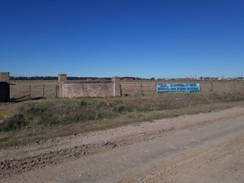 Imagen 5 de 21 de Terreno En Venta En Domselaar