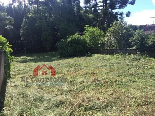 Imagem 5 de 6 de Terreno Para Venda Em Araucária, Barigui - Te005_1-1894633