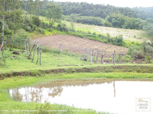 Imagem 12 de 15 de Sítio / Chácara Para Venda Em Mariana Pimentel, Outros - 1164_1-828276