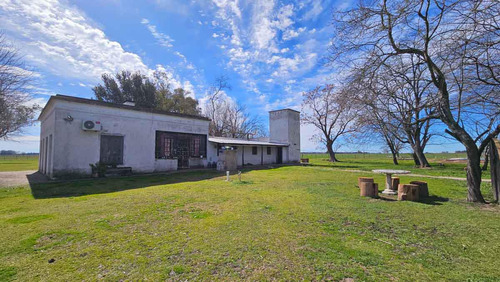 Campo De 77 Hectáreas Con Mejoras En Abbott, San Miguel Del Monte