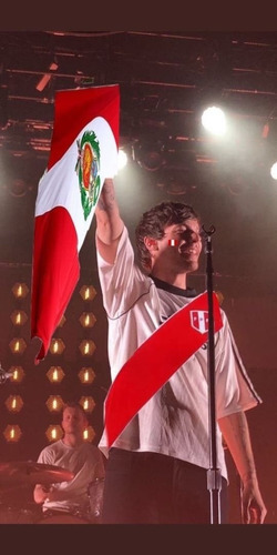 Imagen 3 de 3 de Entrada Campo B - Louis Tomlinson