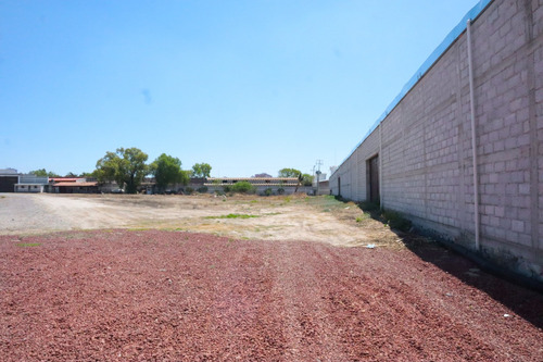 Bodega En Renta Cerca De Platah Carretera México Pachuca
