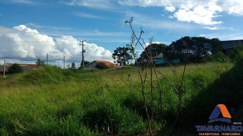 Imagem 2 de 5 de Terrenos - Ref: L357