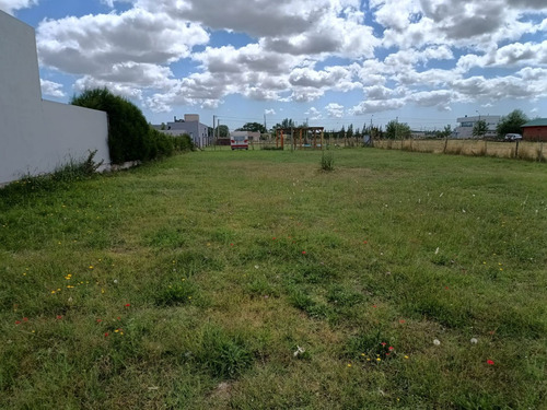 Terreno En Rincon De Gomez