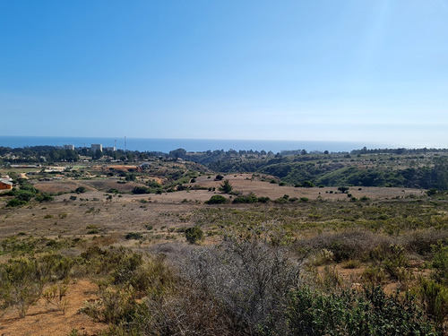 Imagen 16 de 25 de Parcelas De 5.000 Con/sin Vista Mar En Condominio Algarrobo