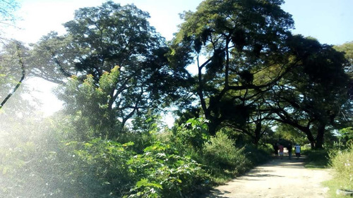 Imagen 4 de 5 de Terreno En Av. Aragua Dr Montoya En Maracay