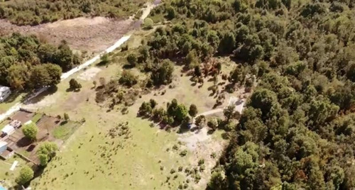Imagen 4 de 11 de Agrícola En Venta En Puerto Montt