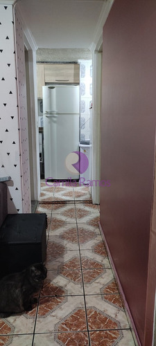 Imagem 4 de 17 de Apartamento À Venda Com 02 Dormitórios, Jardim Santo André, Santo André/sp. - Ap01201 - 70758657