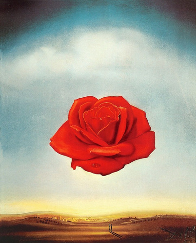 Lamina Fine Art Rosa Meditativa Dalí 45x55 M Y C