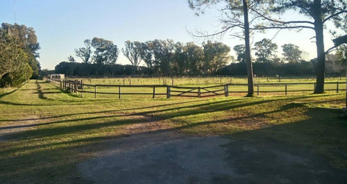 Estancia En Venta - Haras - Turismo Rural En Venta