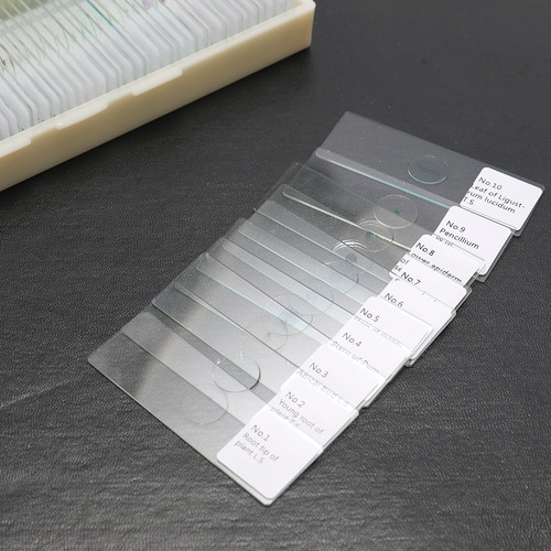 Zg Set De Muestras Biológicas Básicas Preparadas, 100