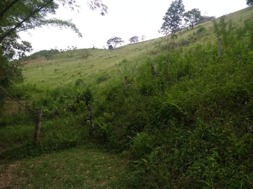 Fazenda - Fa00004 - 67650297