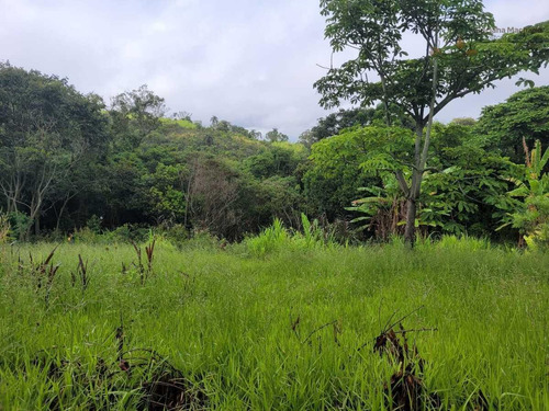 Imagem 2 de 9 de Terreno Comercial Para Venda Em Atibaia, Belvedere - Te00271_2-1412892
