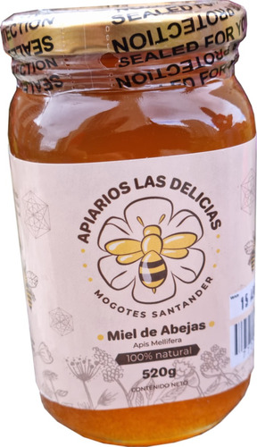 Miel De Abejas 100% Pura - Kg a $40