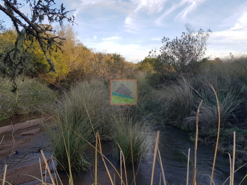 Imagen 14 de 14 de Campo 31 Hás Garzón Bajo