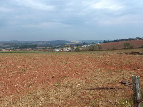 Imagem 10 de 14 de B02- More Próximo Ao Parque Do Morango! Lotes Promocionais!!