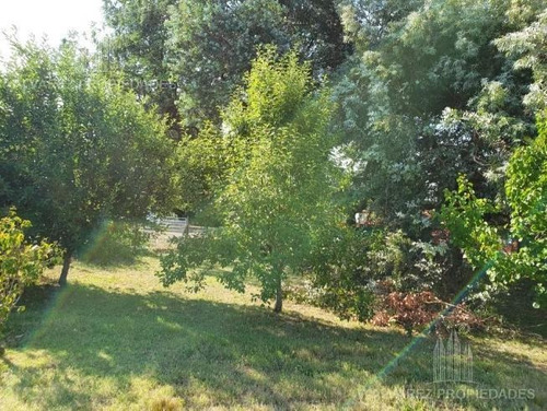 Imagen 7 de 10 de Terreno - Lomas De San Antonio