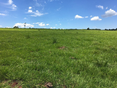 Imagen 15 de 21 de Lote En Venta 1219m2 En Puerto Rico - Loteo Clemens Blick