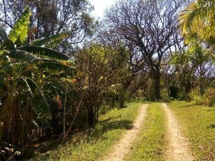 Imagem 3 de 7 de Chacara-para-venda-em-morro-das-pedras-valinhos-sp - Ch0018