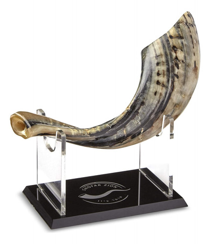 Kosher - Shofar Natural Sin Olor | Cuerno De Carnero Genuino