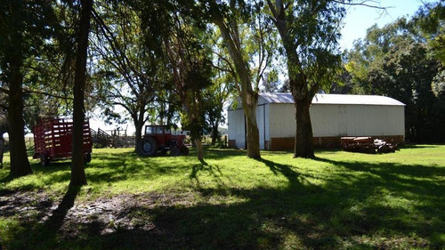 Imagen 4 de 15 de 190 Has Campo En Venta - Sobre Ruta, Ideal Ciclo Completo - Con Mejoras