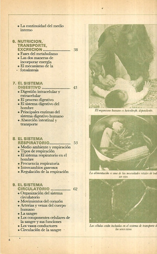 Encicl Tareas Escol / El Cuerpo Humano : Funciones Nutrición (Usado)