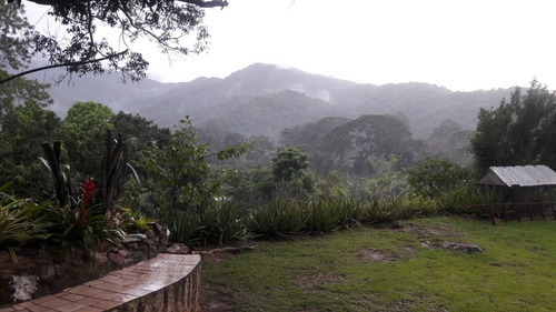 Finca En Venta Ubicada En Canoabo Edo Carabobo