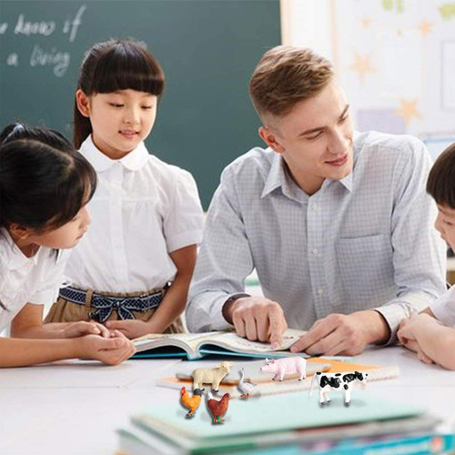 De 12 Juguetes Para Animales, Educativo, De Animales De