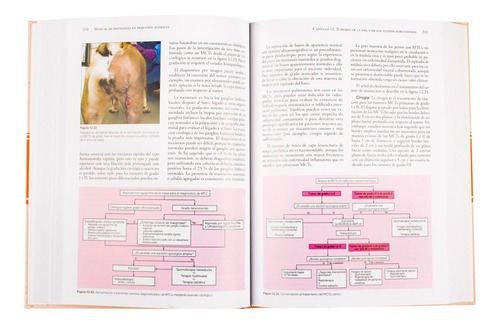 Manual De Oncología En Pequeños Animales, De James Dobson., Vol. 1 Tomo. Editorial Lexus Editores, Tapa Dura En Español, 2013