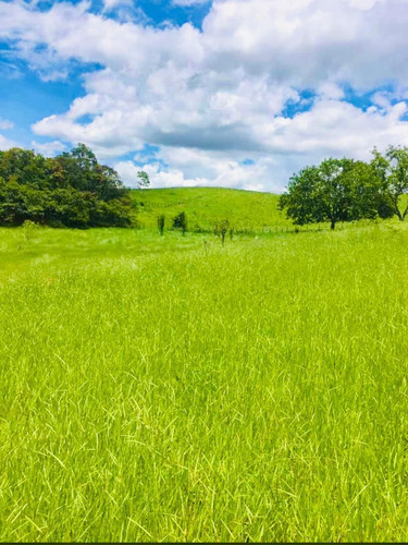 Imagem 11 de 14 de F16- Terrenos A Venda,com Ótima Vista