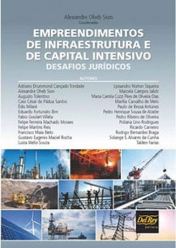 Empreendimentos De Infraestrutura E De Capital Intensivo: Desafios Juridicos, De Campos, Vera Felicidade De Almeida. Editora Del Rey, Capa Mole, Edição 1ª Edição - 2017 Em Português