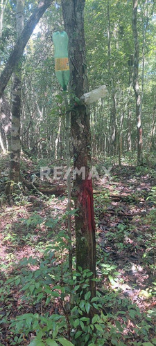 En Venta Amplio Terreno Ejidal Ubicado En Muyil, Tulum.