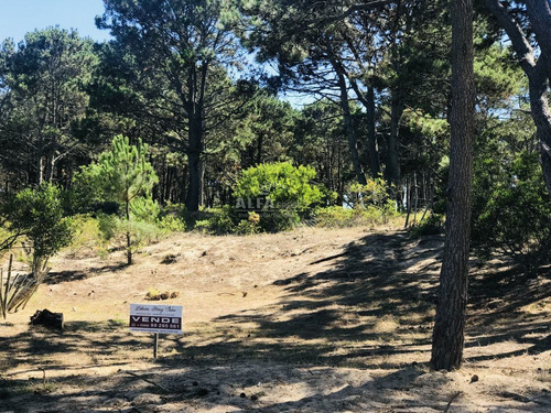 Imagen 4 de 4 de Oportunidad ! Terreno En Manantiales - Manantiales Manantiales
