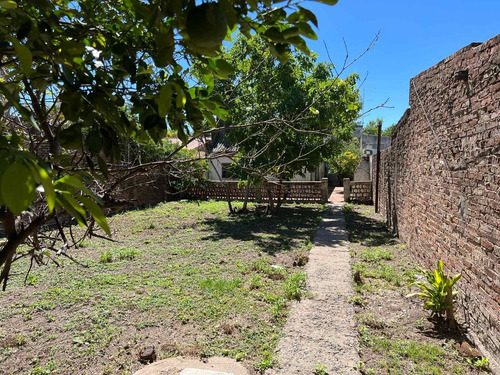 Imagen 5 de 20 de Terreno Céntrico De 10x50 Con Casa A Reciclar