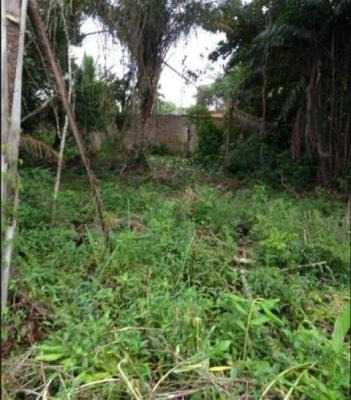 Imagem 6 de 7 de Terreno No Jd Umuarama Com 170 M², Em Itanhaém/sp | 5973-pc