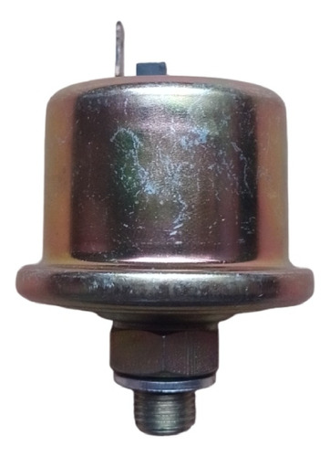 Bulbo Cebolla Aceite Peugeot 205 305 405 Fae