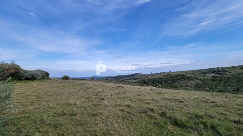 Chacra En Venta Sobre Ruta 12, Pueblo Eden