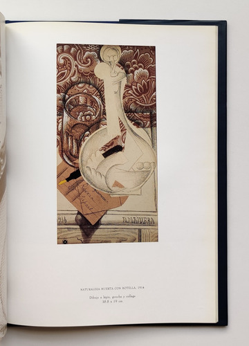 Libro Diego Rivera En Veracruz (Usado)