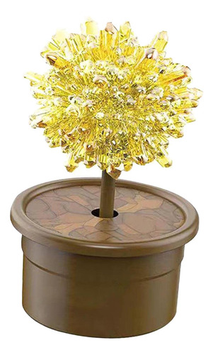 Kit De Cultivo De Cristal Brinquedo Educativo Para Amarelo