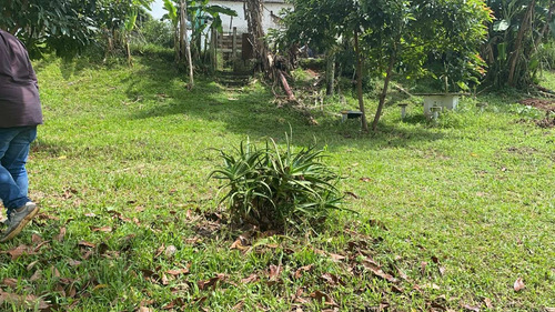 Imagem 6 de 12 de L40- Pague Pouco No Lançamento De Terrenos Em Ibiúna