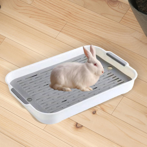 Caja De Arena Para Conejos, Jaula De Blanco Grande