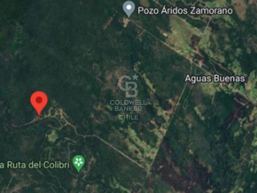 ¡descubre Tu Oasis En Chiloé! Aguas Buenas, Ancud.