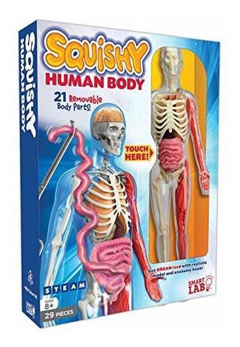 Juguetes Multicolores Para El Cuerpo Humano Smartlab Squishy