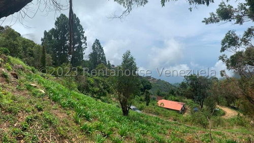 Distrito Capital; Caracas; Galipán