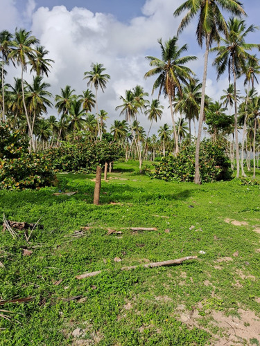 Vendo Impresionante Terreno De Oportunidad De 750,000 M2 Y 1,200 Metros Lineales De Playa En Miches, Rep.dom