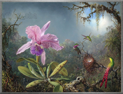 Cuadro Orquídea Cattleya Y 3 Colibríes - M. J. Heade - 1871