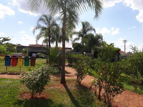 Apartamentos - Ref: V5146