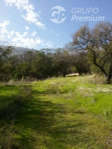 Agrícola En Venta En Hijuelas