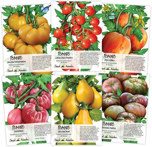 Colección De Semillas De Tomate Multicolor (6 Paquetes)